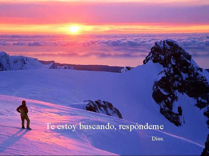 Te estoy buscando, respóndeme Dios. 