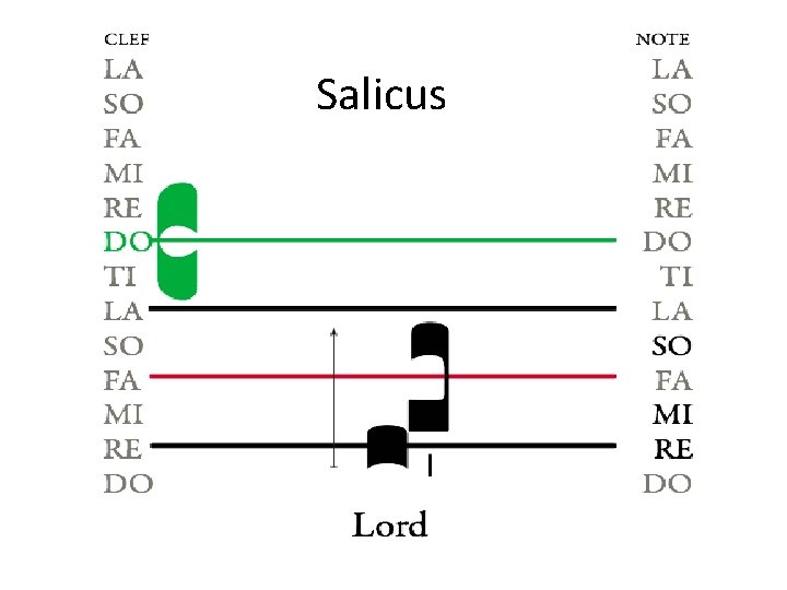 Salicus Salicus
