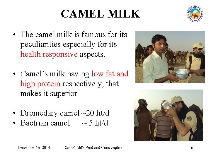 CAMEL MILK • The camel milk is famous for its peculiarities especially for its