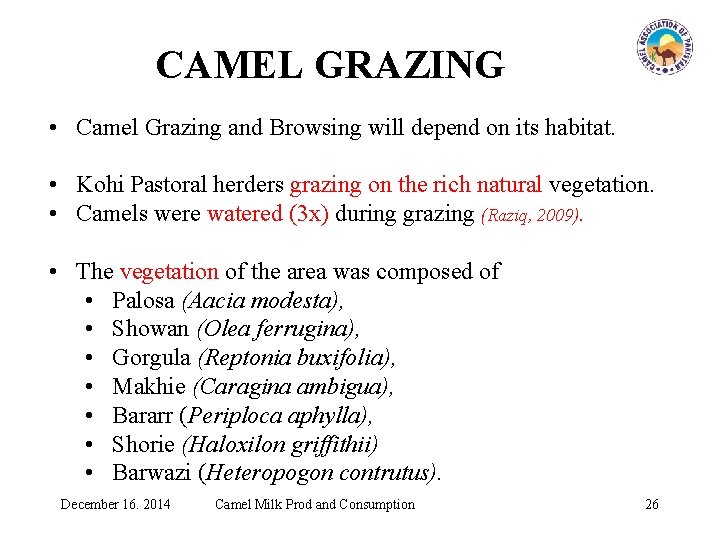 CAMEL GRAZING • Camel Grazing and Browsing will depend on its habitat. • Kohi