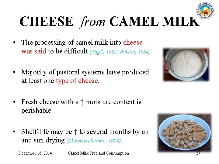 CHEESE from CAMEL MILK • The processing of camel milk into cheese was said