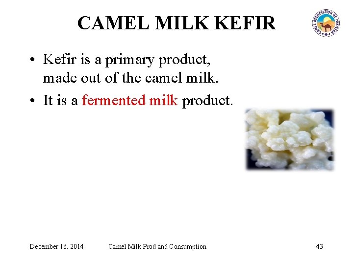 CAMEL MILK KEFIR • Kefir is a primary product, made out of the camel