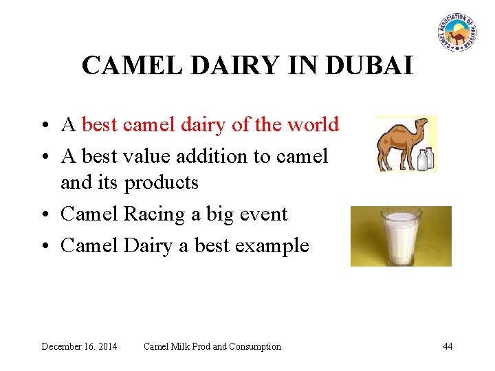 CAMEL DAIRY IN DUBAI • A best camel dairy of the world • A