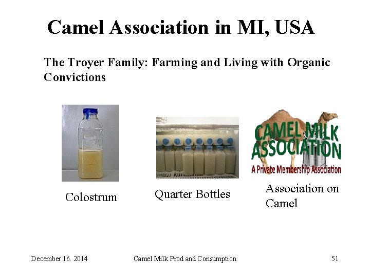 Camel Association in MI, USA The Troyer Family: Farming and Living with Organic Convictions