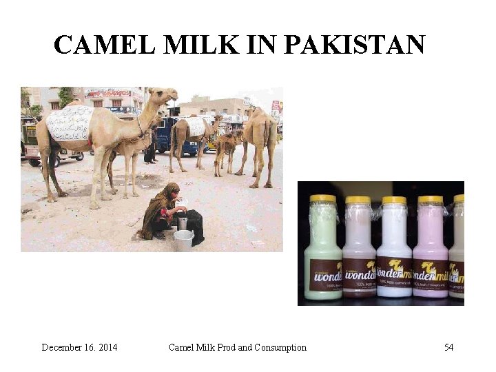 CAMEL MILK IN PAKISTAN December 16. 2014 Camel Milk Prod and Consumption 54 