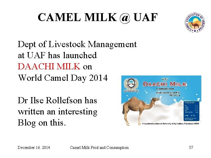 CAMEL MILK @ UAF Dept of Livestock Management at UAF has launched DAACHI MILK