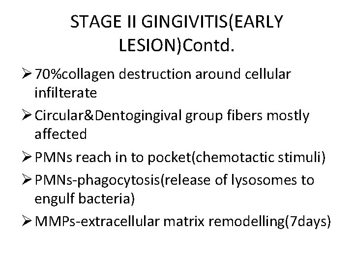 STAGE II GINGIVITIS(EARLY LESION)Contd. Ø 70%collagen destruction around cellular infilterate Ø Circular&Dentogingival group fibers