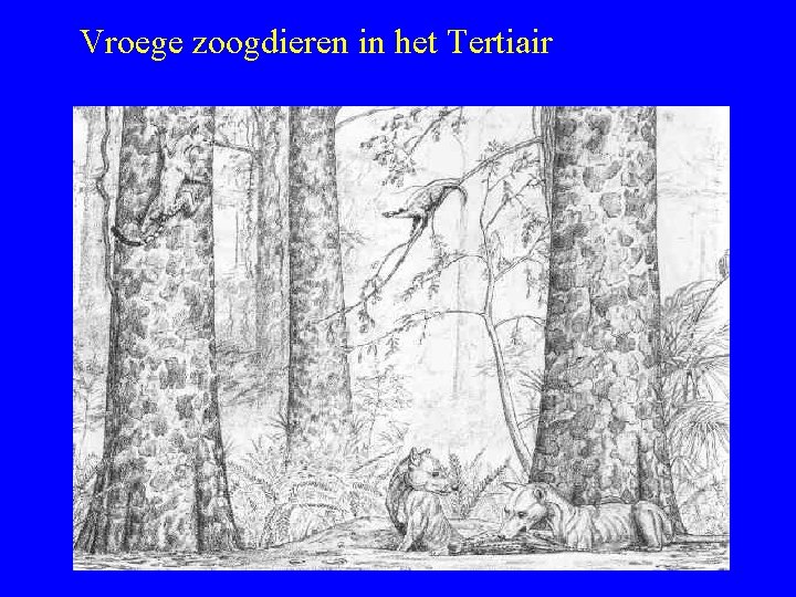 Vroege zoogdieren in het Tertiair 