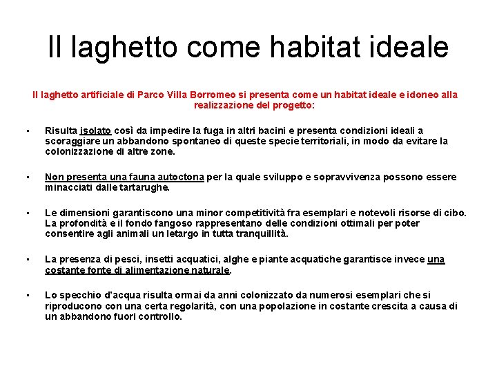 Il laghetto come habitat ideale Il laghetto artificiale di Parco Villa Borromeo si presenta