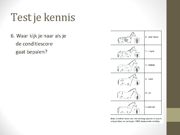 Test je kennis 6. Waar kijk je naar als je de conditiescore gaat bepalen?