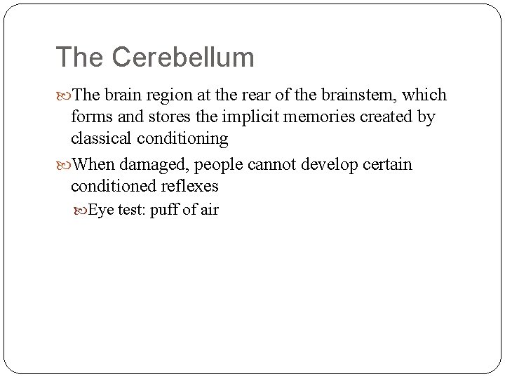 The Cerebellum The brain region at the rear of the brainstem, which forms and