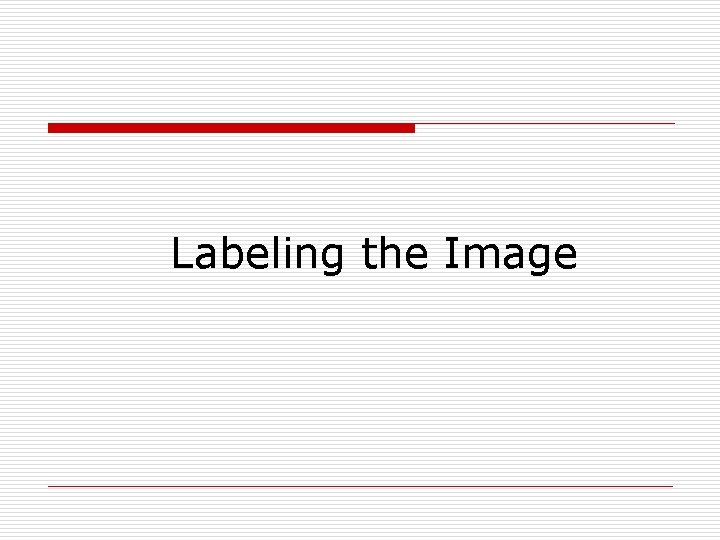 Labeling the Image 