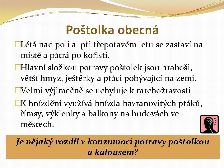 Poštolka obecná �Létá nad poli a při třepotavém letu se zastaví na místě a