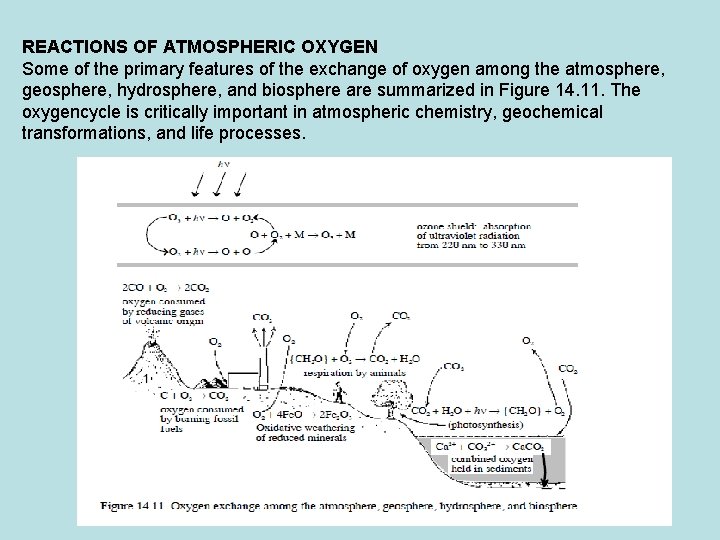REACTIONS OF ATMOSPHERIC OXYGEN Some of the primary features of the exchange of oxygen
