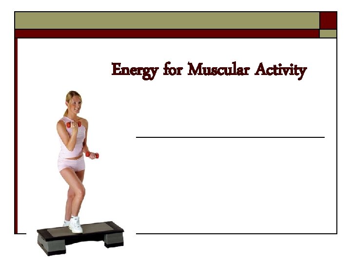 Energy for Muscular Activity 