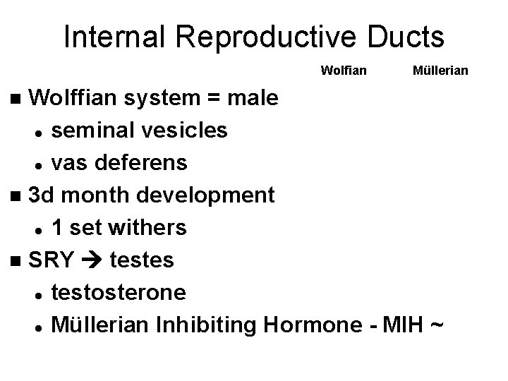 Internal Reproductive Ducts Wolfian Müllerian Wolffian system = male l seminal vesicles l vas