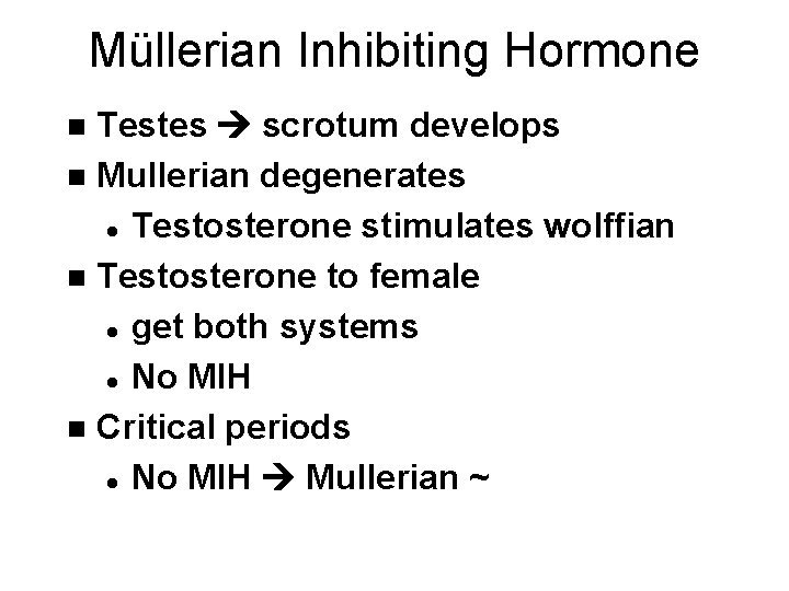 Müllerian Inhibiting Hormone Testes scrotum develops n Mullerian degenerates l Testosterone stimulates wolffian n