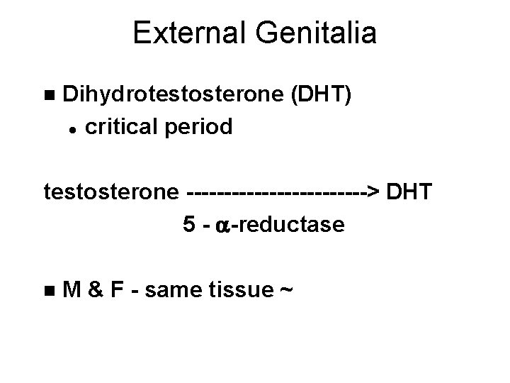 External Genitalia n Dihydrotestosterone (DHT) l critical period testosterone ------------> DHT 5 - -reductase