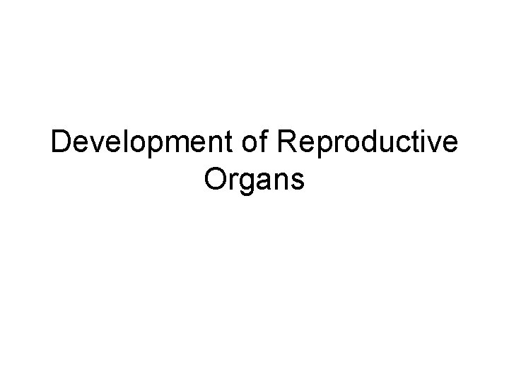 Development of Reproductive Organs 