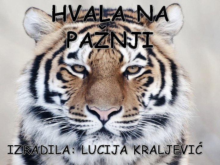 HVALA NA PAŽNJI IZRADILA: LUCIJA KRALJEVIĆ 