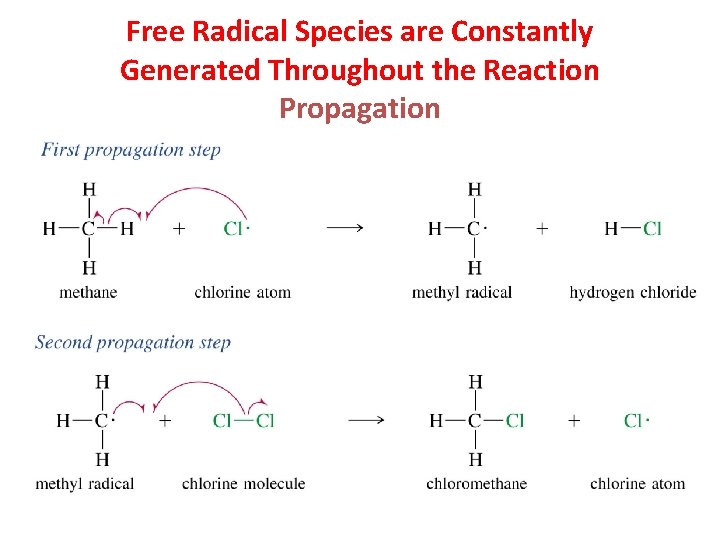 Free Radical Species are Constantly Generated Throughout the Reaction Propagation 