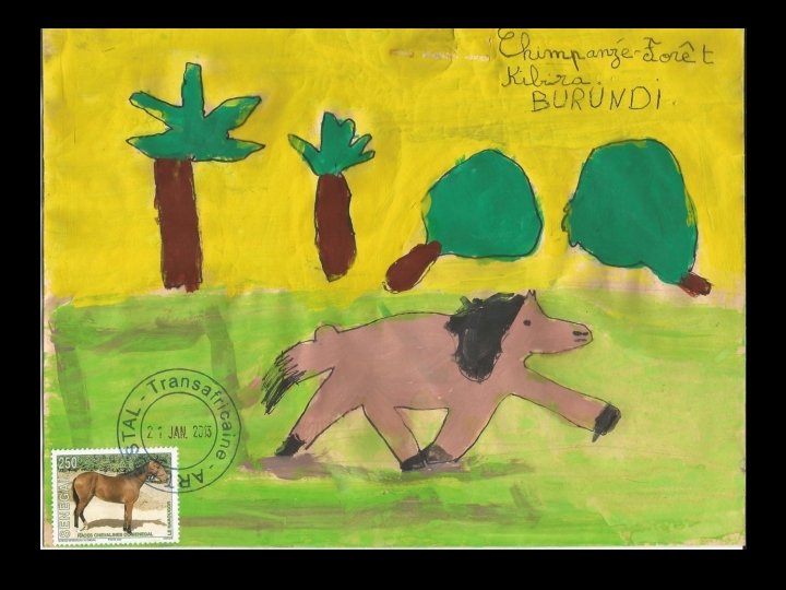 Cher Chimpanzé, Je veux m’échapper de cet hippodrome. Quand je ne cours pas, je Cher Chimpanzé, Je veux m’échapper de cet hippodrome. Quand je ne cours pas, je