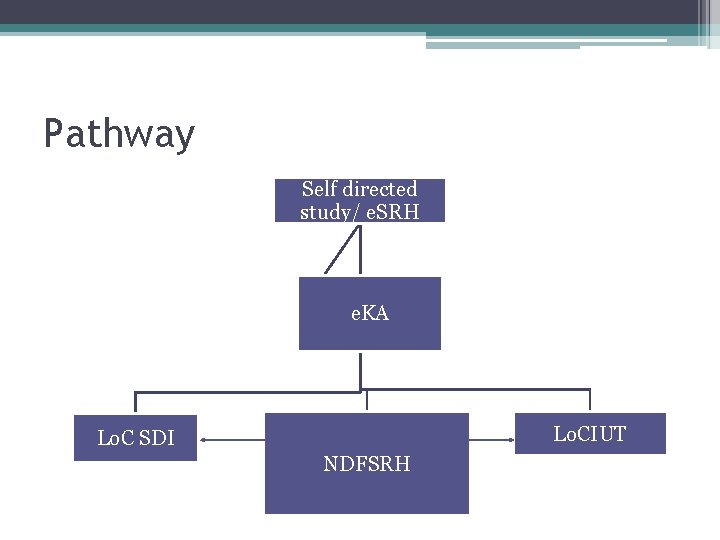 Pathway Self directed study/ e. SRH e. KA Lo. CIUT Lo. C SDI NDFSRH