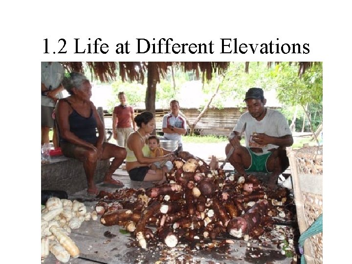 1. 2 Life at Different Elevations 1. 2 Life at Different Elevations