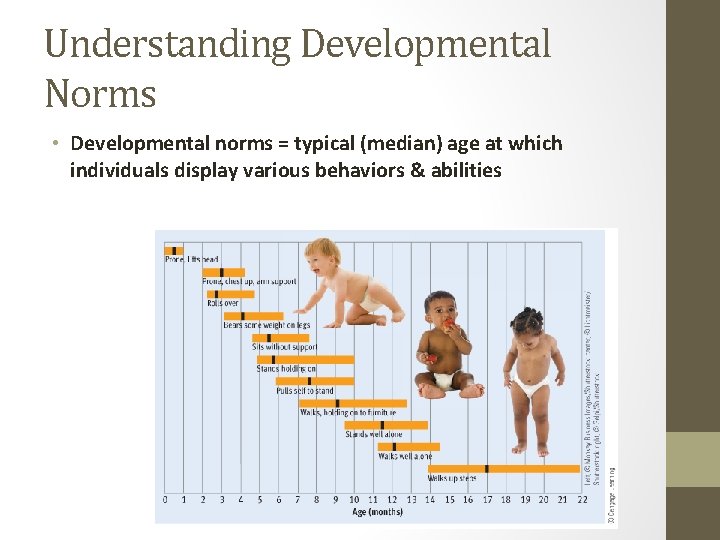 Understanding Developmental Norms • Developmental norms = typical (median) age at which individuals display