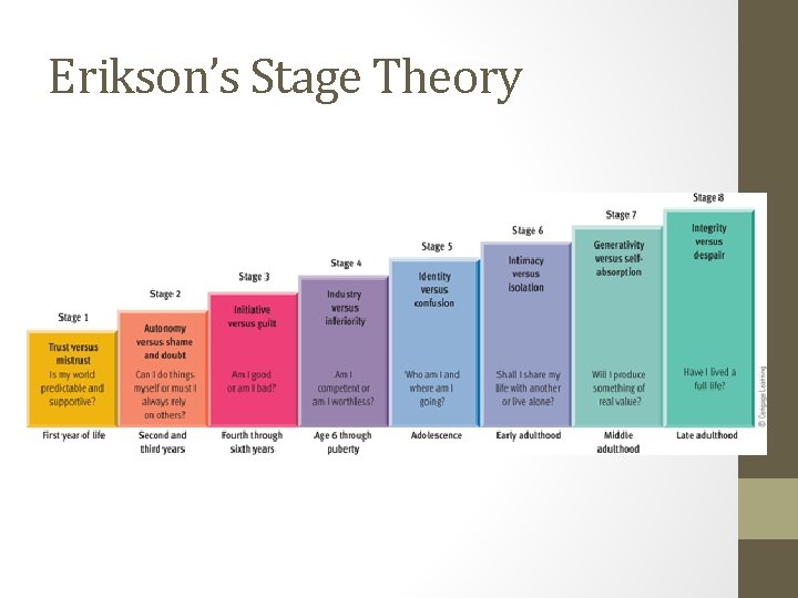 Erikson’s Stage Theory 