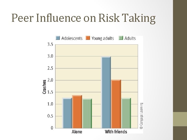 Peer Influence on Risk Taking 