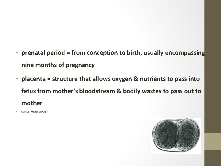  • prenatal period = from conception to birth, usually encompassing nine months of
