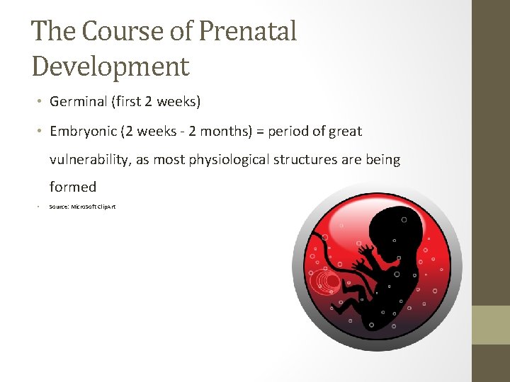 The Course of Prenatal Development • Germinal (first 2 weeks) • Embryonic (2 weeks