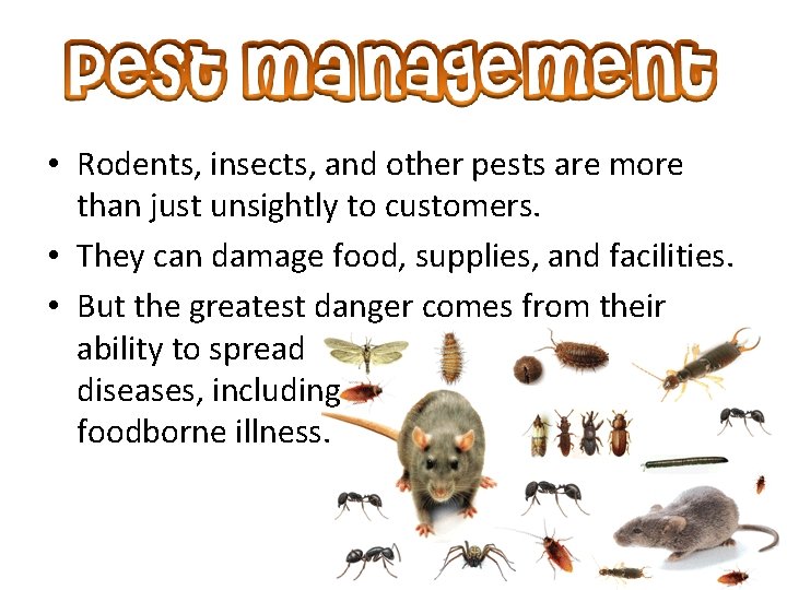  • Rodents, insects, and other pests are more than just unsightly to customers.