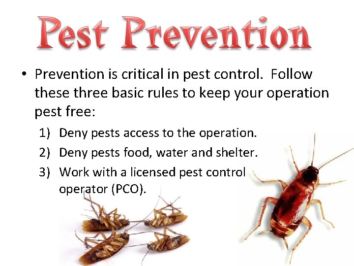  • Prevention is critical in pest control. Follow these three basic rules to