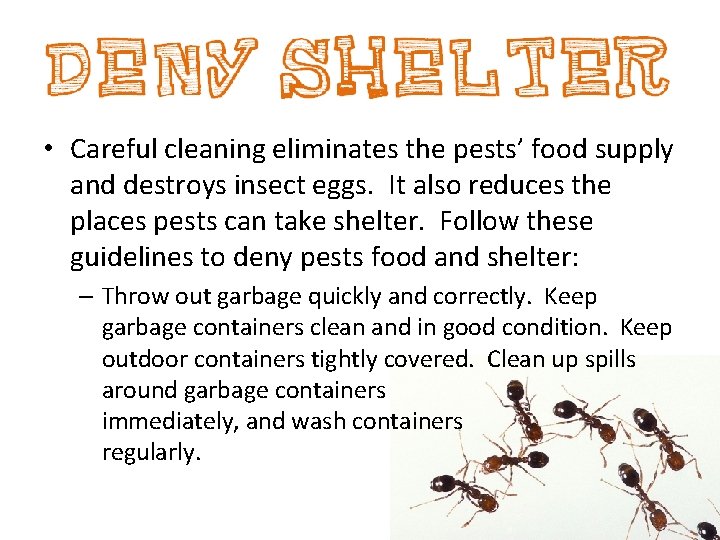  • Careful cleaning eliminates the pests’ food supply and destroys insect eggs. It