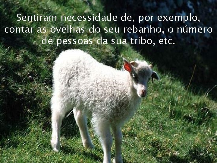  Sentiram necessidade de, por exemplo, contar as ovelhas do seu rebanho, o número