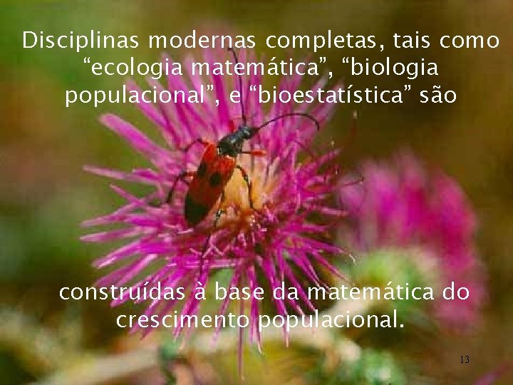 Disciplinas modernas completas, tais como “ecologia matemática”, “biologia populacional”, e “bioestatística” são construídas à