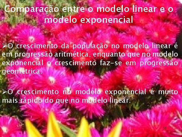 Comparação entre o modelo linear e o modelo exponencial ØO crescimento da população no