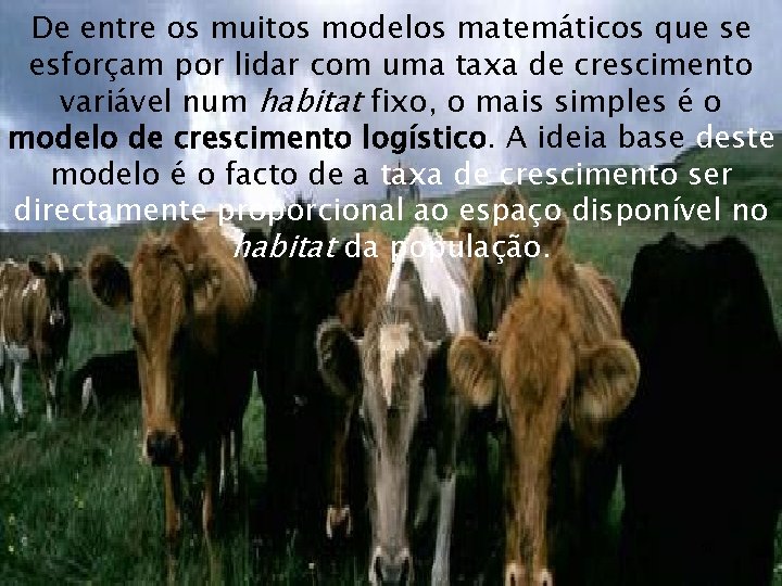 De entre os muitos modelos matemáticos que se esforçam por lidar com uma taxa