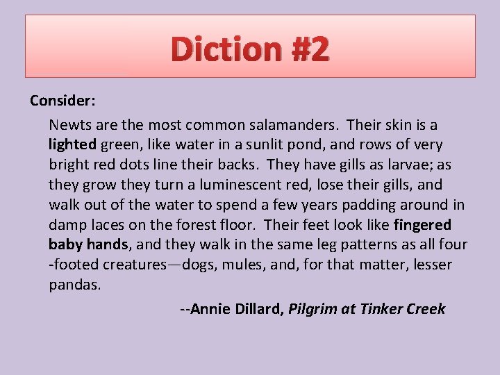 Diction #2 Consider: Newts are the most common salamanders. Their skin is a lighted