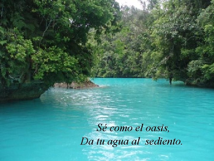  Sé como el oasis, Da tu agua al sediento. 