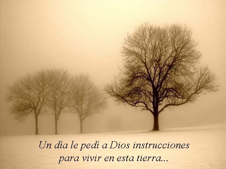 Un día le pedí a Dios instrucciones para vivir en esta tierra. . .