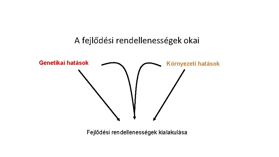 A fejlődési rendellenességek okai Genetikai hatások Környezeti hatások Fejlődési rendellenességek kialakulása A fejlődési rendellenességek okai Genetikai hatások Környezeti hatások Fejlődési rendellenességek kialakulása