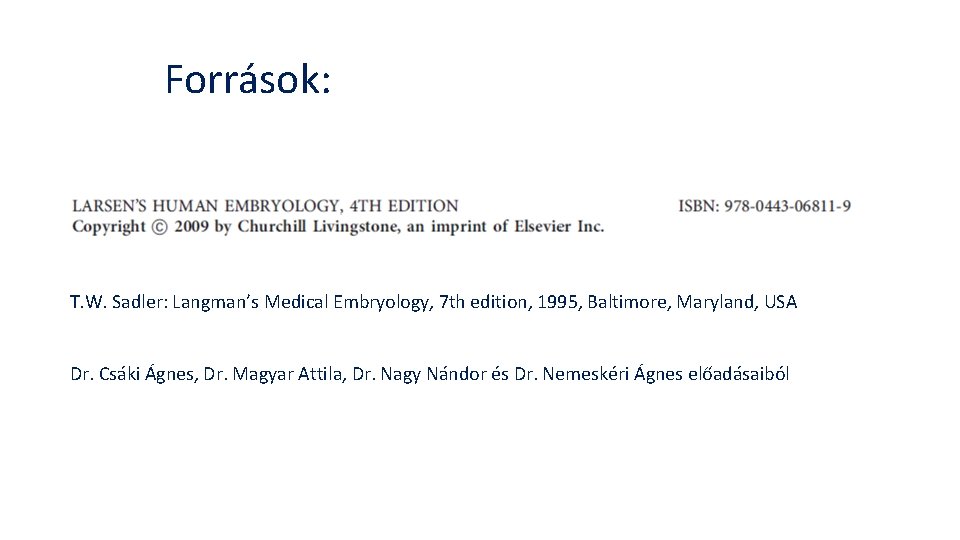 Források: T. W. Sadler: Langman’s Medical Embryology, 7 th edition, 1995, Baltimore, Maryland, USA Források: T. W. Sadler: Langman’s Medical Embryology, 7 th edition, 1995, Baltimore, Maryland, USA