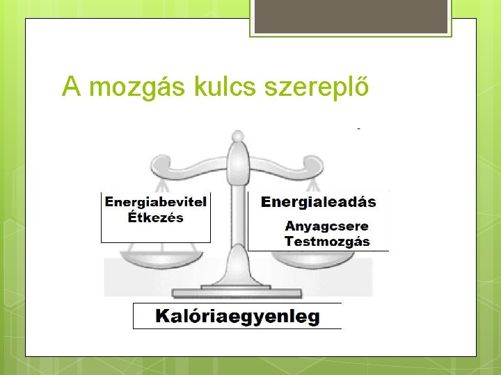 A mozgás kulcs szereplő 