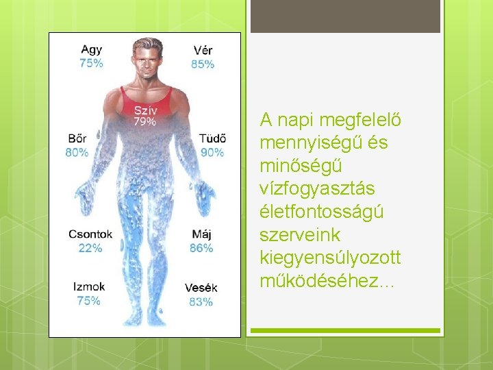 A napi megfelelő mennyiségű és minőségű vízfogyasztás életfontosságú szerveink kiegyensúlyozott működéséhez… 