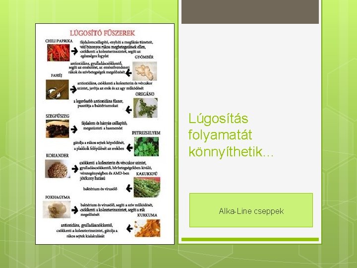 Lúgosítás folyamatát könnyíthetik… Alka-Line cseppek 