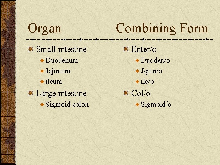 Organ Small intestine Duodenum Jejunum ileum Large intestine Sigmoid colon Combining Form Enter/o Duoden/o