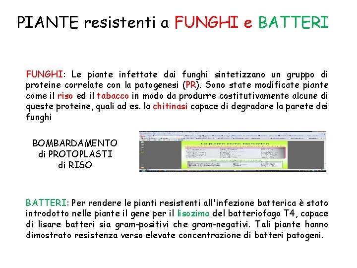 PIANTE resistenti a FUNGHI e BATTERI FUNGHI: Le piante infettate dai funghi sintetizzano un